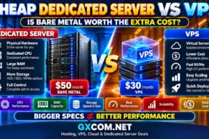 Cheap Dedicated Server vs VPS comparison showing bare metal performance and cost