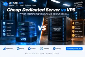 廉价独立服务器与VPS：您应该选择哪种主机方案