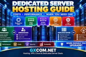 Dedicated Server Hosting Guide costs performance and when you need one