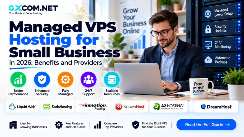 Managed VPS Hosting for Small Business in 2026: Benefits and Providers
