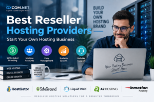 Reseller hosting business model with hosting services