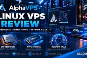 AlphaVPS Linux VPS review comparing CPU resources, AMD EPYC and Ryzen processors, NVMe storage and network performance