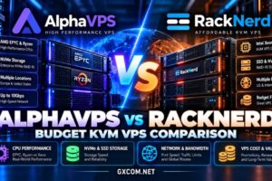 AlphaVPS 与 RackNerd 经济型 KVM VPS 对比评测：涵盖 CPU 性能、NVMe 存储、带宽限制及性价比
