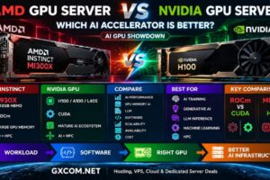 AMD GPU Server vs NVIDIA GPU Server: Which AI Accelerator Is Better?