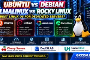 Ubuntu vs Debian vs AlmaLinux vs Rocky Linux Comparison for Dedicated Servers Security Performance Stability and Support