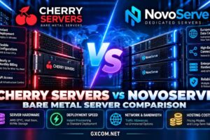 Cherry Servers 与 NovoServe 裸机托管对比，涵盖专用服务器硬件、部署速度、网络带宽及托管成本