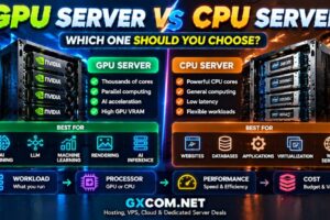 GPU Server vs CPU Server: Which One Should You Choose