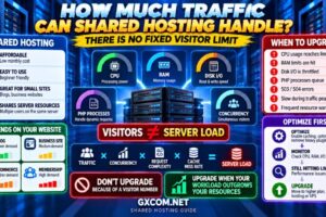 How Much Traffic Can Shared Hosting Handle CPU RAM I/O PHP and Concurrent Visitor Limits Explained