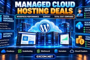 托管云主机优惠：WordPress 性能、技术支持及总成本对比