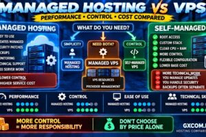 Managed Hosting vs VPS Performance Control Cost Security and Support Comparison