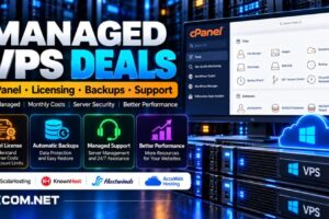 带 cPanel 的托管型 VPS 方案对比：许可费、自动备份、技术支持及月度托管费用