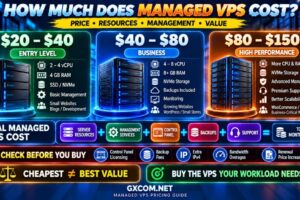 托管型VPS主机费用、定价、CPU、内存、NVMe、管理及功能对比