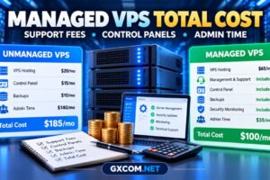 Managed VPS total cost comparison covering support fees, control panel licenses and administrator time