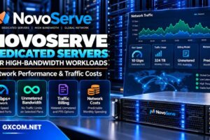NovoServe 专用服务器评测，涵盖高带宽、流量不限、网络性能及专用主机托管费用