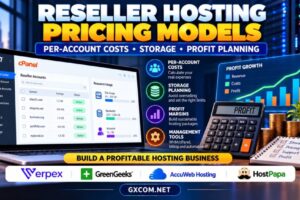Reseller Hosting Pricing Models Per Account Costs Storage and Profit Planning