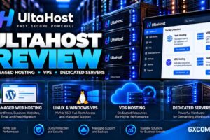 UltaHost 评测：对比托管主机、Linux 和 Windows VPS、VDS 资源隔离、独立服务器、备份及长期成本