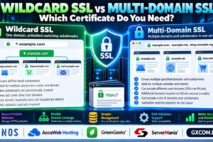 Wildcard SSL vs Multi-Domain SSL: Certificate Comparison