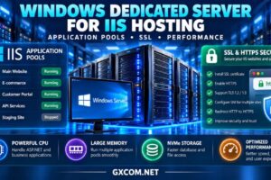 Windows dedicated server for IIS hosting infographic showing application pools, SSL certificates, ASP.NET performance and server hardware