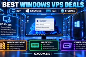 带RDP功能的最佳Windows VPS优惠：许可证、内存和存储空间对比