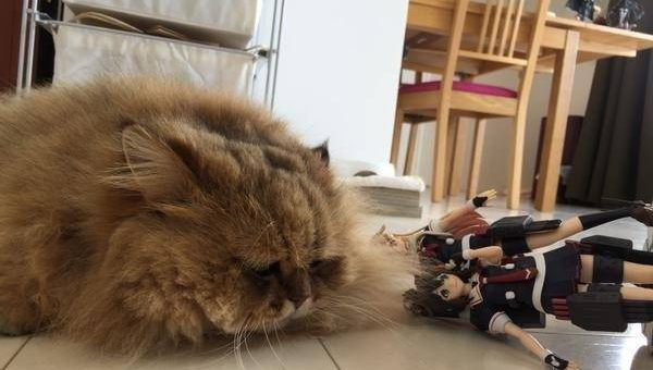 书房摆加湿器风水好吗