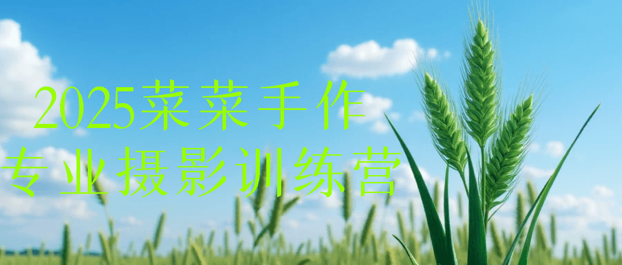 2025菜菜手作专业摄影训练营-趣奇资源网-第5张图片
