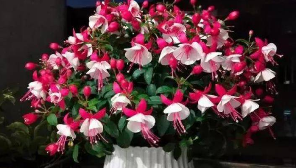 卧室窗户挂风铃风水好吗