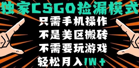 CSGO自动捡漏项目，最新独家玩法，不是美区搬砖，不需要了解和玩游戏，新手小白轻松月入1W+【揭秘】