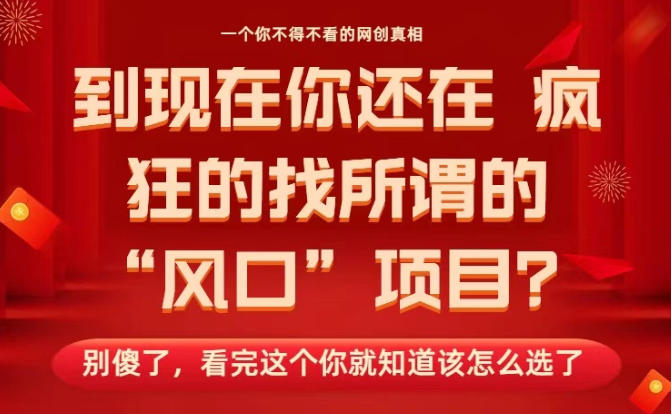 马上26年了，你还在找所谓的风口项目？别傻了，看完这个你全都懂了！【揭秘】