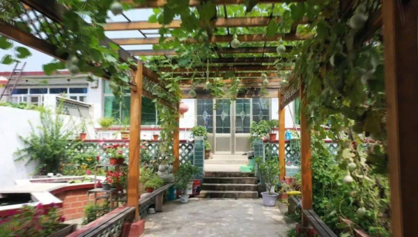 庭院里建葡萄长廊风水好吗