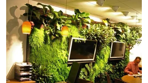 办公室放个绿植加湿器风水如何