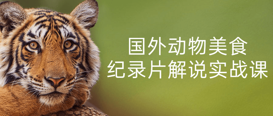 国外动物美食纪录片解说实战课-趣奇资源网-第5张图片