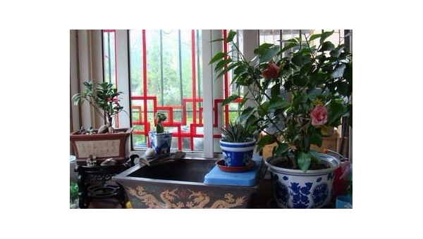 阳台放花盆风水好吗