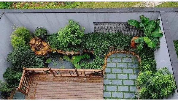 院子里搭葡萄架风水好不好