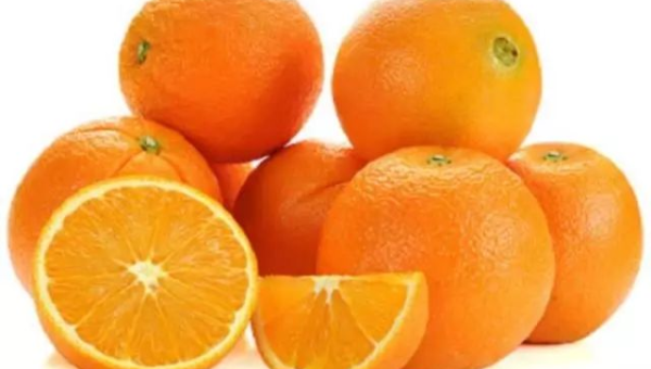 家门口种橘子树风水好吗