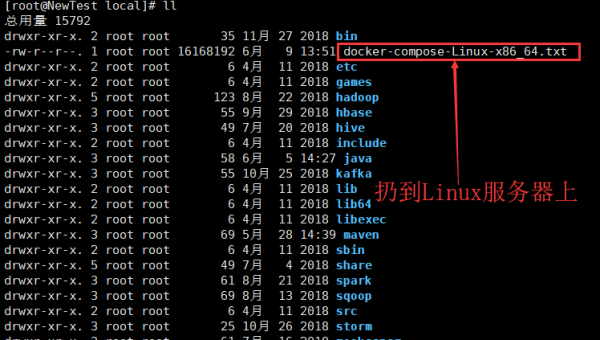 Docker 容器文件权限错误：用户 ID 映射与 Volume 模式选择