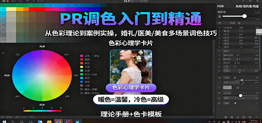 图片[1]-PR调色入门到精通：从色彩理论到案例实操，婚礼/医美/美食多场景调色技巧-网创之家