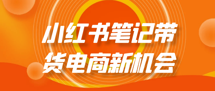 小红书笔记带货电商新机会-趣奇资源网-第5张图片