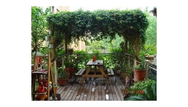 院子里搭葡萄架下安秋千风水好吗