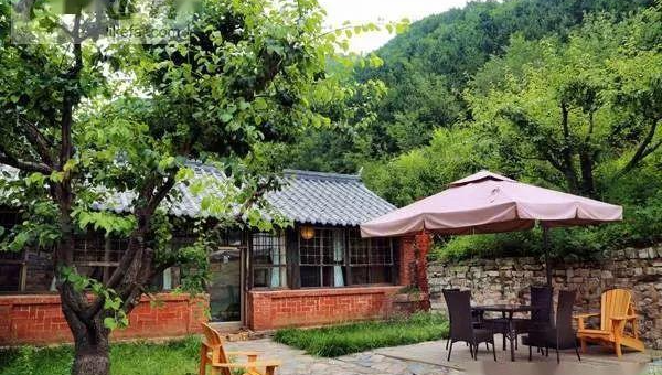 院子里种桂花树风水好吗